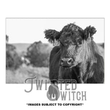 Load image into Gallery viewer, '1702' Traditional Canvas