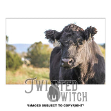 Load image into Gallery viewer, '1702' Traditional Canvas