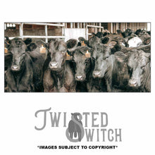 Load image into Gallery viewer, 'Ladies of the Lot' Traditional Canvas