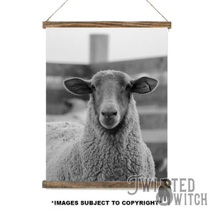 'Can I help you?' Scroll Canvas