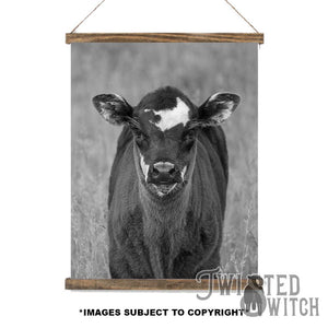 'Conned Vic' Scroll Canvas