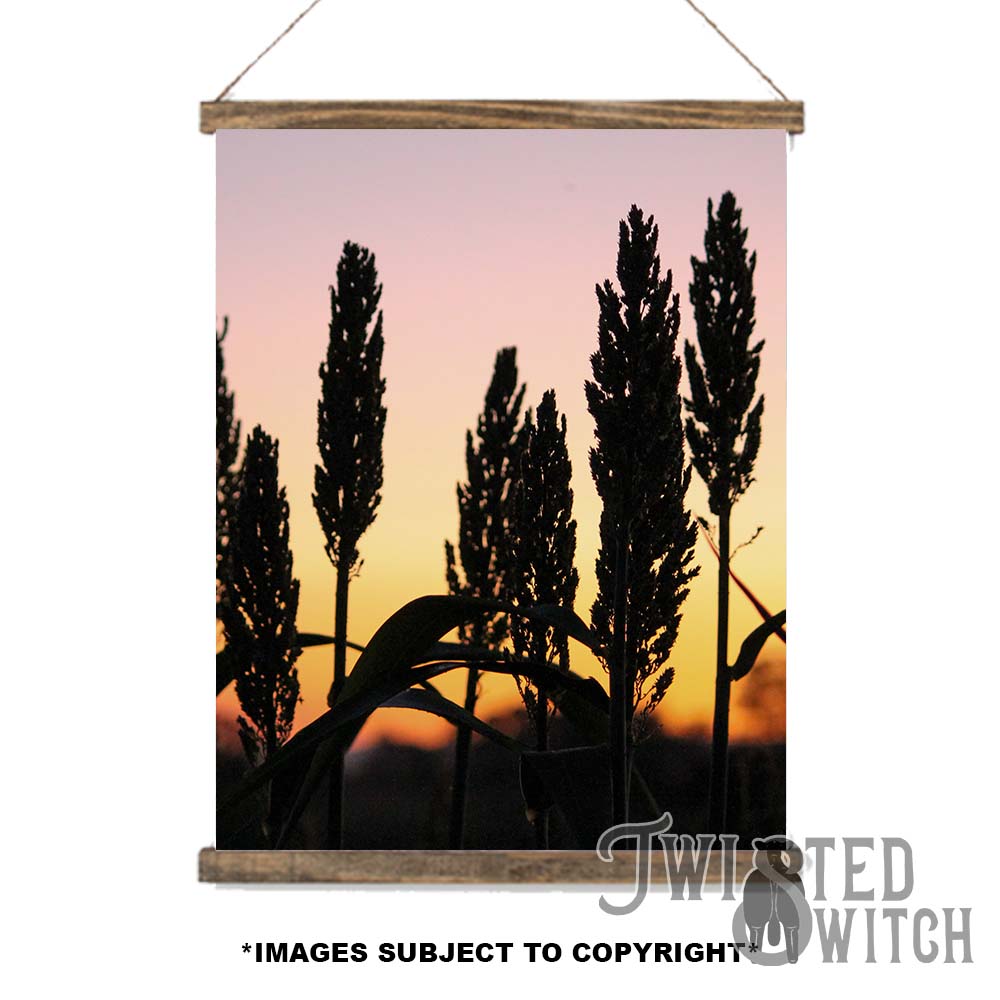 'Home Grown' Scroll Canvas